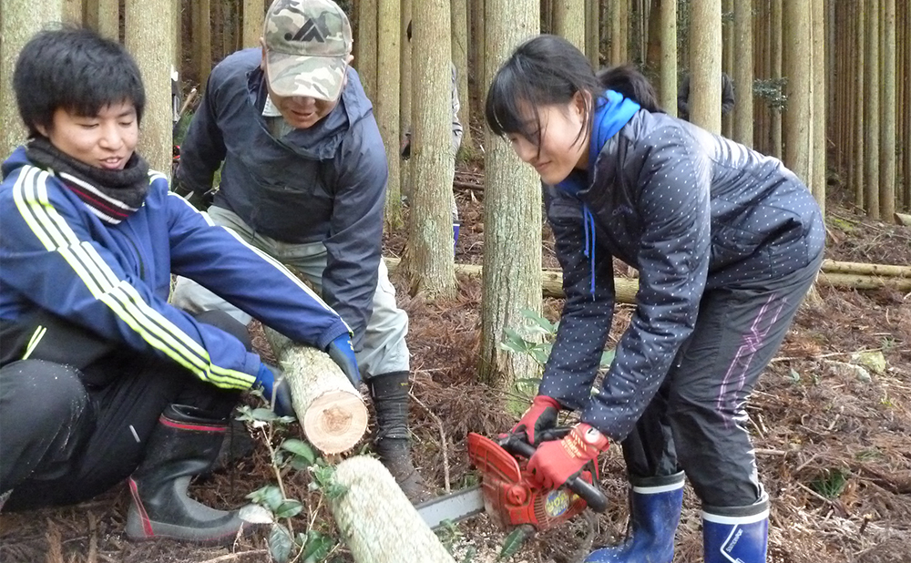 プチコンテンツ制作／北山杉の伐採